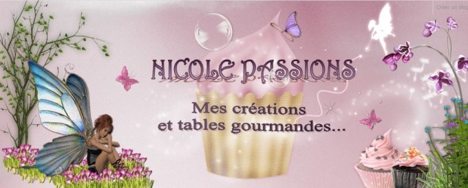Bannière Nicole Passions